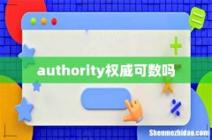 authority权威可数吗