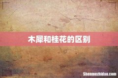 木犀和桂花的区别