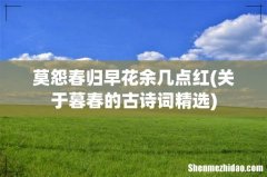关于暮春的古诗词精选 莫怨春归早花余几点红