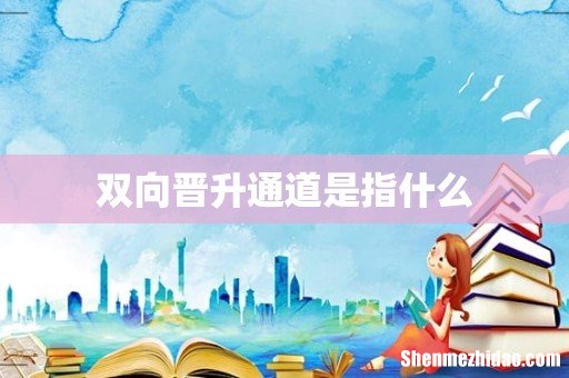 双向晋升通道是指什么