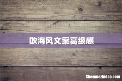 吹海风文案高级感