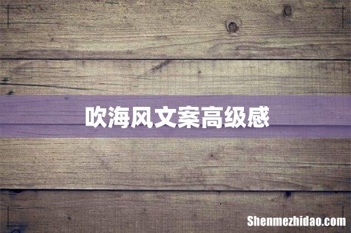 吹海风文案高级感