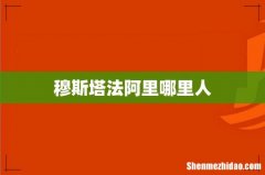穆斯塔法阿里哪里人