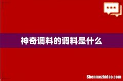 神奇调料的调料是什么