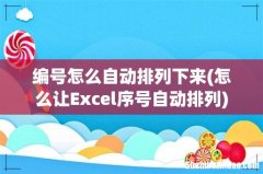怎么让Excel序号自动排列 编号怎么自动排列下来