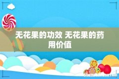 无花果的功效 无花果的药用价值