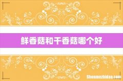 鲜香菇和干香菇哪个好