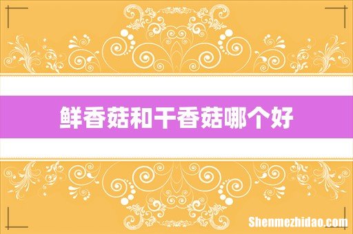 鲜香菇和干香菇哪个好