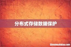 分布式存储数据保护