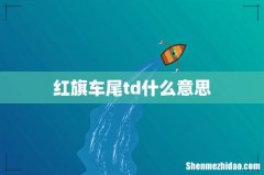 红旗车尾td什么意思