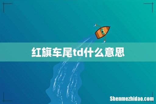 红旗车尾td什么意思