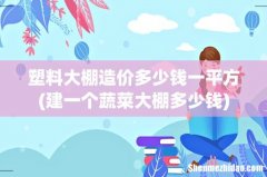 建一个蔬菜大棚多少钱 塑料大棚造价多少钱一平方