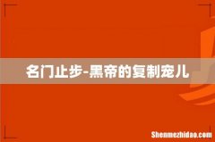 名门止步-黑帝的复制宠儿