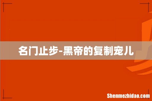 名门止步-黑帝的复制宠儿