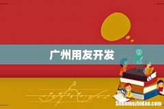 广州用友开发