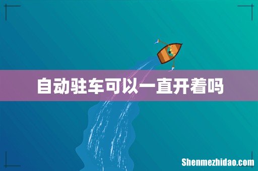 自动驻车可以一直开着吗