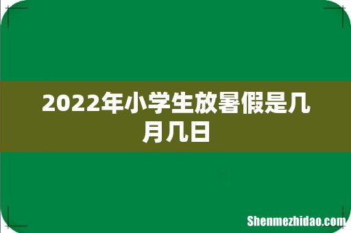 2022年小学生放暑假是几月几日