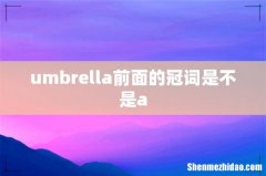 umbrella前面的冠词是不是a