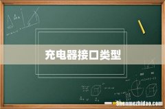 充电器接口类型