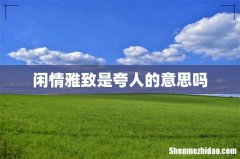 闲情雅致是夸人的意思吗