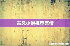 古风小说推荐言情
