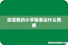 你是我的小宇宙表达什么情感