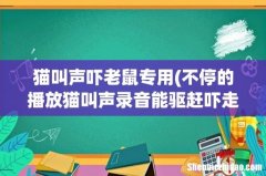 不停的播放猫叫声录音能驱赶吓走天花板上的老鼠吗？还是有什么更好的办法？ 猫叫声吓老鼠