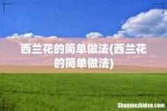 西兰花的简单做法 西兰花的简单做法
