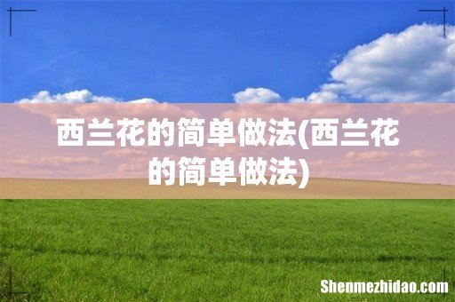 西兰花的简单做法 西兰花的简单做法