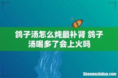 鸽子汤怎么炖最补肾 鸽子汤喝多了会上火吗