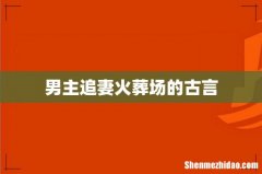 男主追妻火葬场的古言