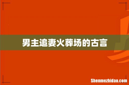 男主追妻火葬场的古言