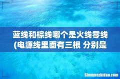 电源线里面有三根 分别是棕色，蓝色，绿色 哪一根是零线哪根是地线？ 蓝线和棕线哪个是火