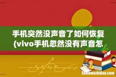 vivo手机忽然没有声音怎么办？ 手机突然没声音了如何恢复