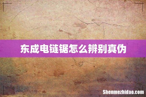 东成电链锯怎么辨别真伪