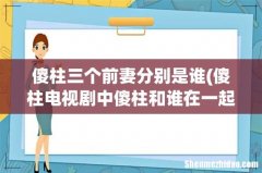傻柱电视剧中傻柱和谁在一起了- 傻柱三个前妻分别是谁