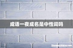 成语一夜成名是中性词吗