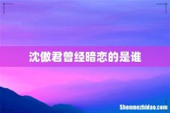 沈傲君曾经暗恋的是谁