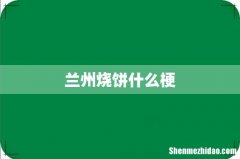 兰州烧饼什么梗