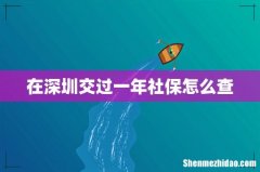在深圳交过一年社保怎么查