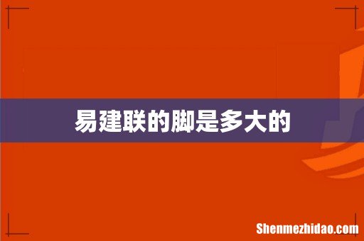 易建联的脚是多大的