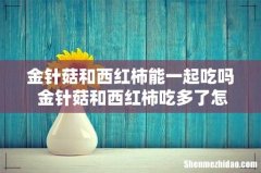 金针菇和西红柿能一起吃吗 金针菇和西红柿吃多了怎么办