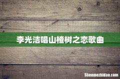 李光洁唱山楂树之恋歌曲