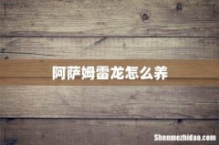 阿萨姆雷龙怎么养