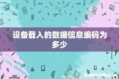 设备载入的数据信息编码为多少