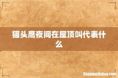 猫头鹰夜间在屋顶叫代表什么