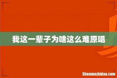 我这一辈子为啥这么难原唱