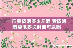 一斤黄皮泡多少斤酒 黄皮泡酒要泡多长时间可以喝