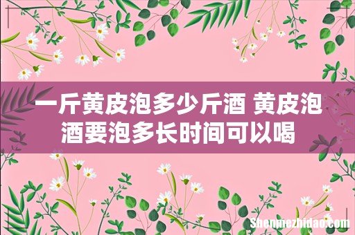 一斤黄皮泡多少斤酒 黄皮泡酒要泡多长时间可以喝