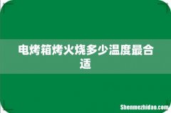 电烤箱烤火烧多少温度最合适